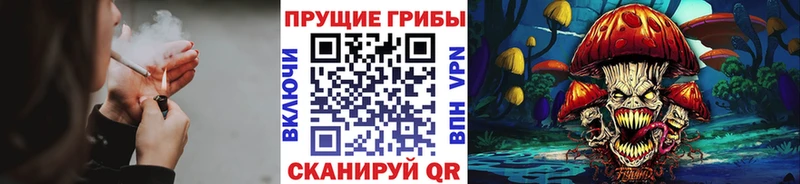Купить закладки Райчихинск Псилоцибиновые грибы Cubensis